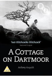 Cottage on Dartmoor  