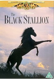 The Black Stallion 